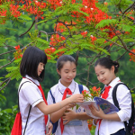 Khi nào học sinh tiểu học chính thức nghỉ hè năm 2025?