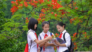 Khi nào học sinh tiểu học chính thức nghỉ hè năm 2025?